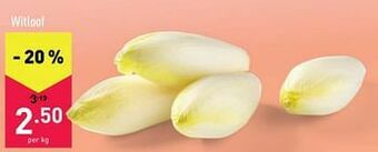 ALDI Witloof aanbieding
