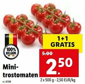 Minitrostomaten