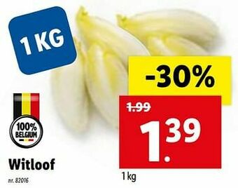 Lidl Witloof aanbieding