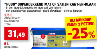 Hubo Hubo Superdekkend Mat of Satijn Kant en Klaar 2.5L aanbieding