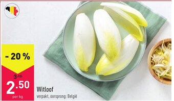 ALDI Witloof aanbieding