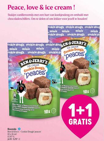 Delhaize Roomijs ben & jerry's aanbieding