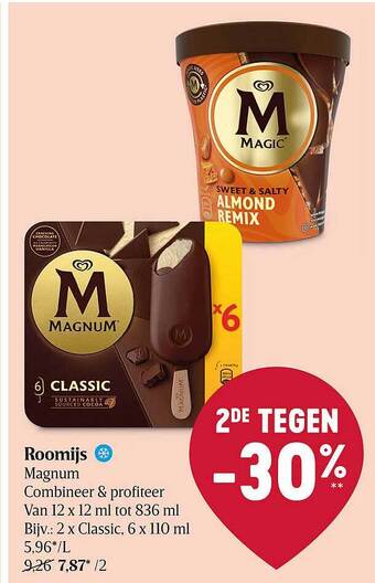 Delhaize Roomijs magnum aanbieding