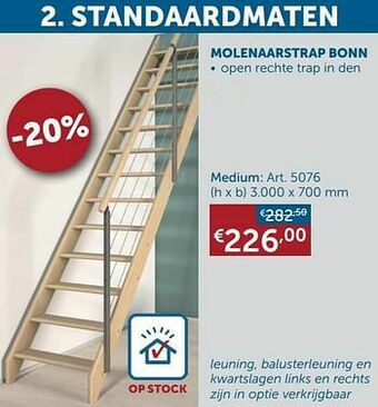 Molenaarstrap bonn medium