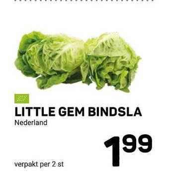 Little gem bindsla