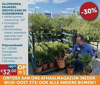 Olijfbomen, palmiers, druivelaars en vijgenbomen