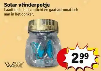 Kruidvat Solar vlinderpotje aanbieding