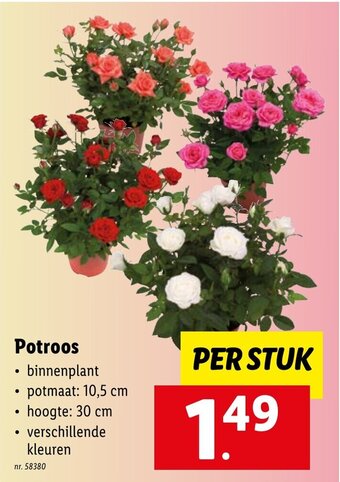 Lidl Potroos aanbieding