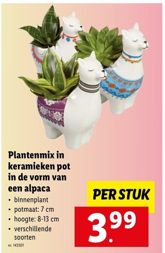 Lidl Plantenmix in keramieken pot in de vorm van een alpaca aanbieding