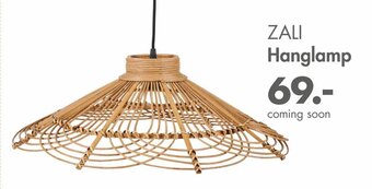 Zali Hanglamp