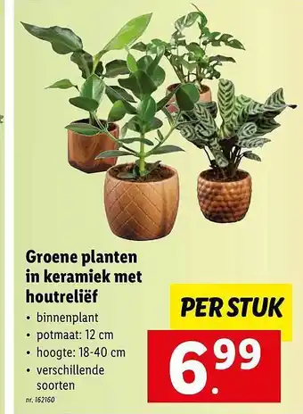 Groene planten in keramiek met houtreliёf