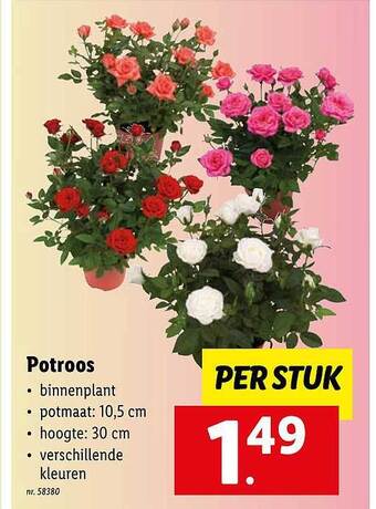 Potroos