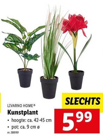 Lidl Kunstplant aanbieding