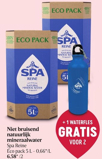 Delhaize Spa Reine Niet Bruisend Natuurlijk Mineraalwater aanbieding
