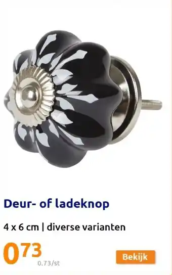 Deur- of ladeknop 4 x 6 cm