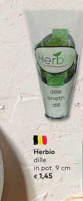Bio Planet Herbio dille in pot aanbieding