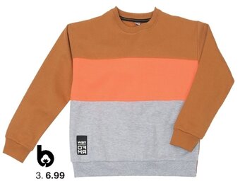 Zeeman Sweater Maat 134-164 aanbieding