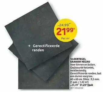Brico Vloertegel erawan negro aanbieding