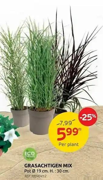 Brico Grasachtigen mix aanbieding