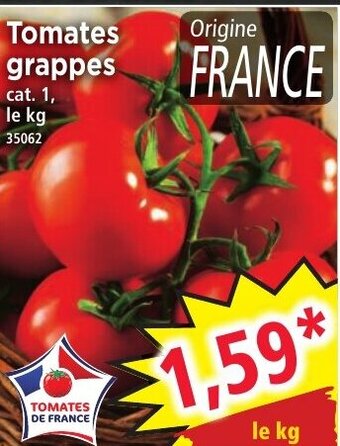 Tomates Grappes