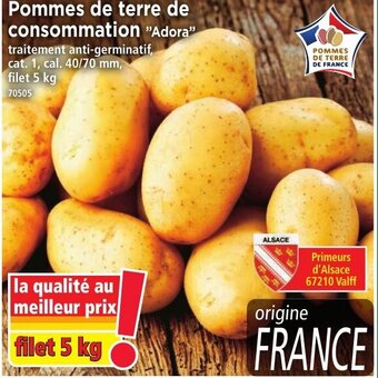 Pommes De Terre De Consommation
