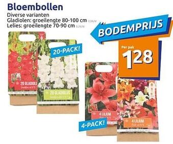 Action Bloembollen aanbieding