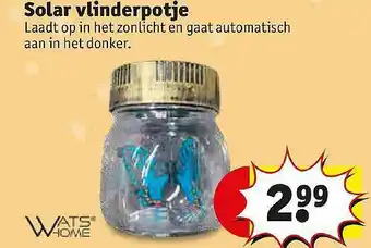 Kruidvat Solar vlinderpotje watshome aanbieding