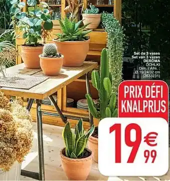 Cora Set de 3 vases set van 3 vazen deroma dohlki aanbieding