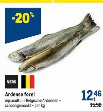 Ardense forel