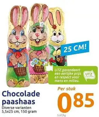 Chocolade paashaas 25cm