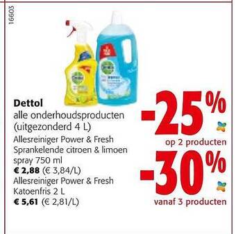 Dettol alle onderhoudsproducten
