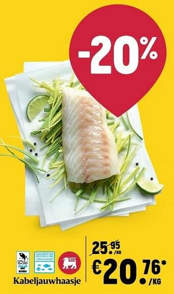 Delhaize Kabeljauwhaasje aanbieding
