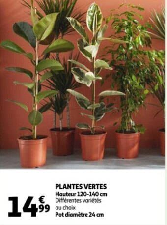 Auchan Plantes Vertes aanbieding