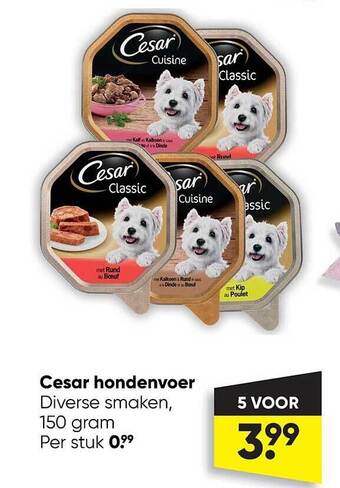 Big Bazar Cesar hondenvoer aanbieding