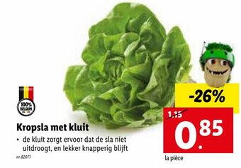 Lidl Kropsla met kluit aanbieding