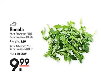 Rucola