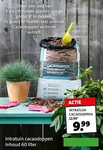 Intratuin cacaodoppen inhoud