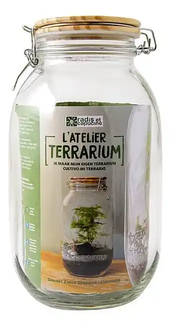 Terrarium pot