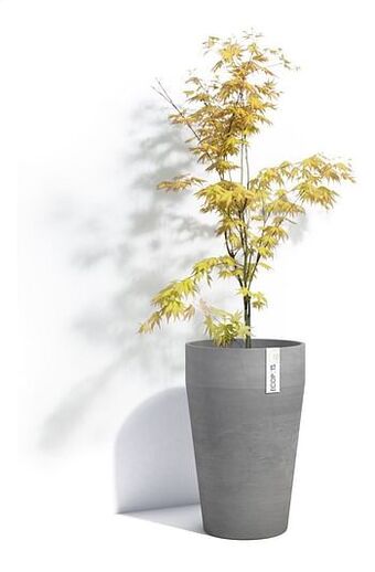 Dreamland Ecopots bloembak Sankara XL High grijs aanbieding
