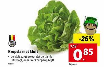 Lidl Kropsla met kluit aanbieding