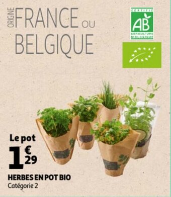 Auchan Herbes En Pot Bio aanbieding