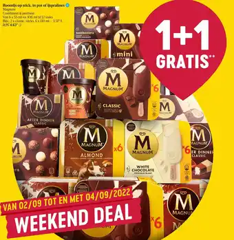 Delhaize Magnum Roomijs op Stick in Pot of Ijspralines aanbieding