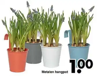 Wibra Metalen hangpot aanbieding