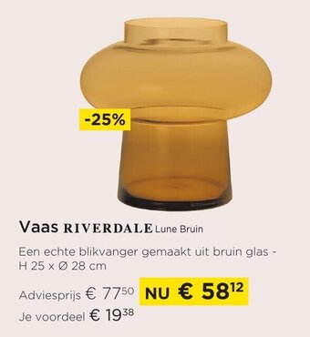 Molecule Vaas riverdale aanbieding