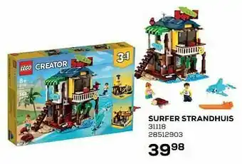 Surfer strandhuis 31118