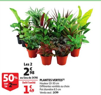 Auchan Plantes vertes hauteur 10-30CM aanbieding