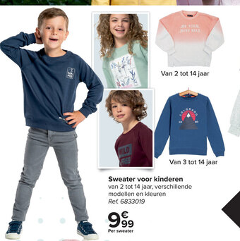 Carrefour Sweater voor Kinderen van 2 tot 14 Jaar aanbieding