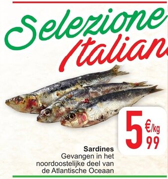 Cora Sardines aanbieding