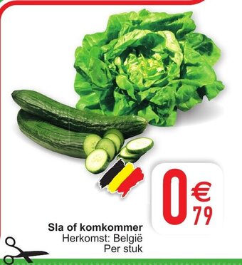 Cora Sla of komkommer aanbieding