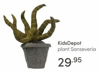 Baby & Tiener Kidsdepot plant sanseveria aanbieding
